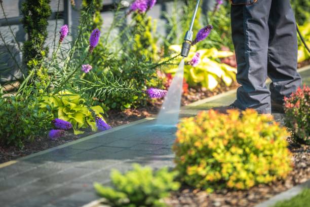 Trusted Mikes, TX Pressure Washing Services Experts